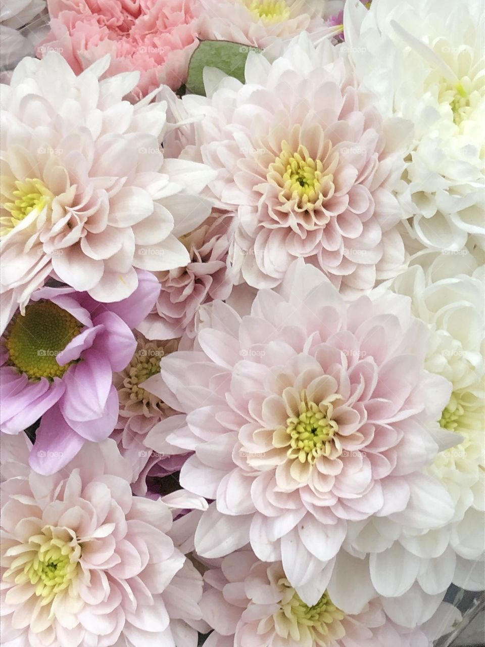Pink and white flower bouquet