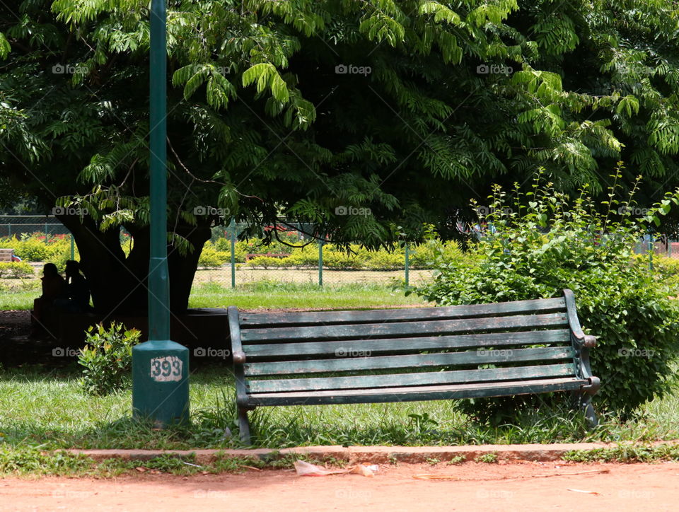 bench
