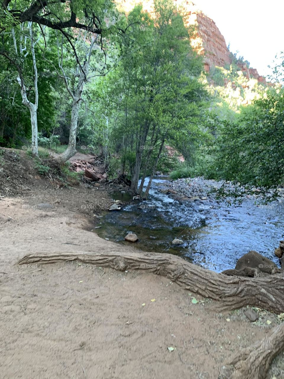 Complete relaxing beautiful peace of mind.