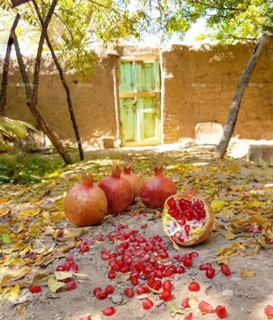 pomegranate