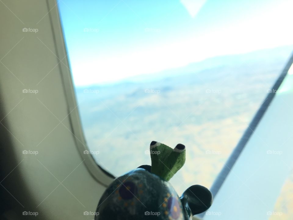 Turtle on a plane 