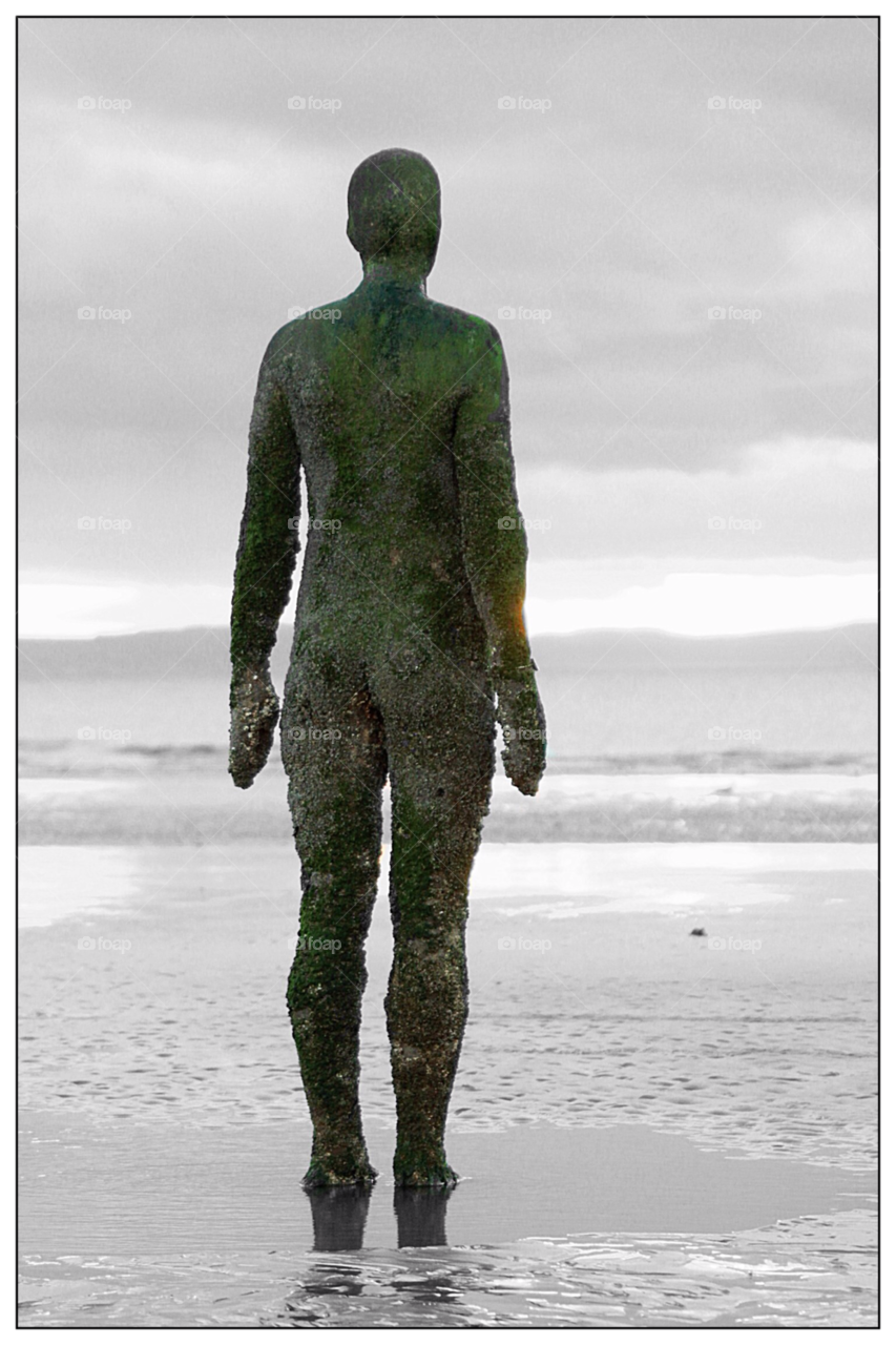 beach ocean sky green by mojo26