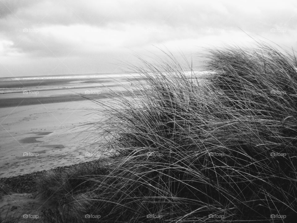 At the seashore black and white