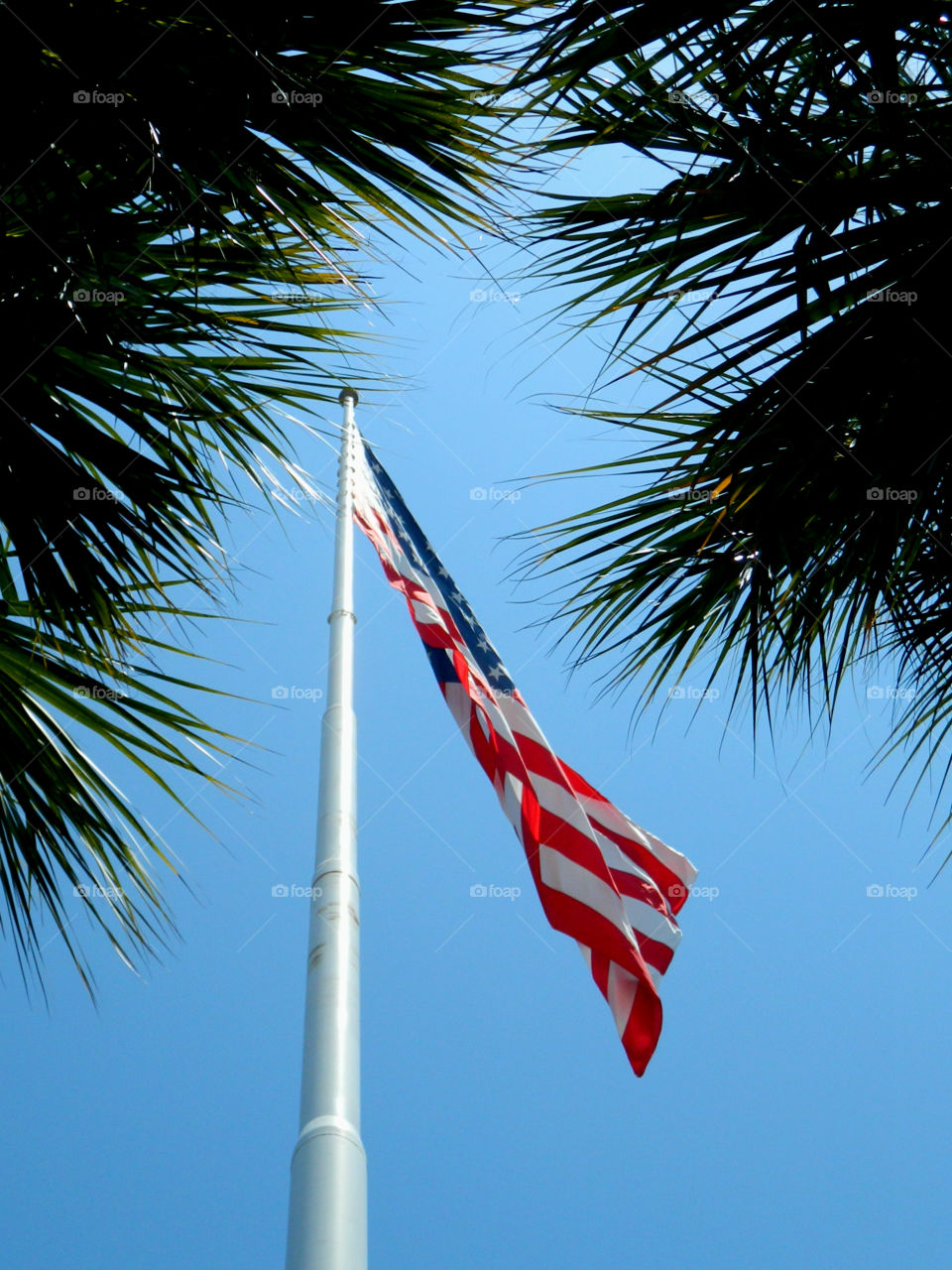 Flag flying against clear sky