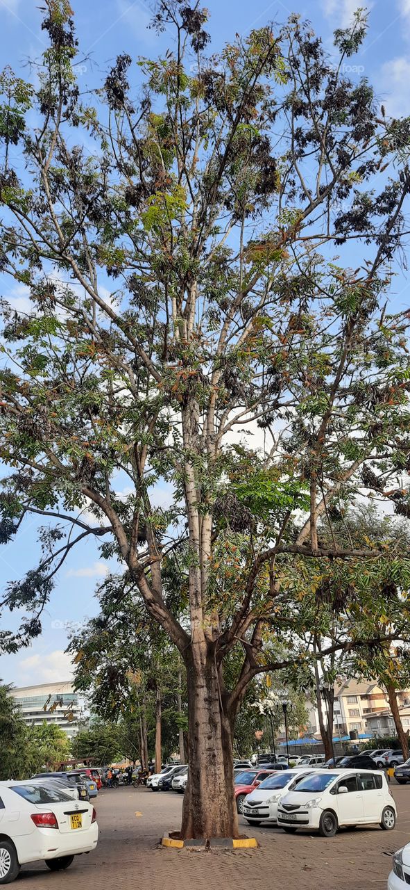 Rate my random Shot. How can I do better?