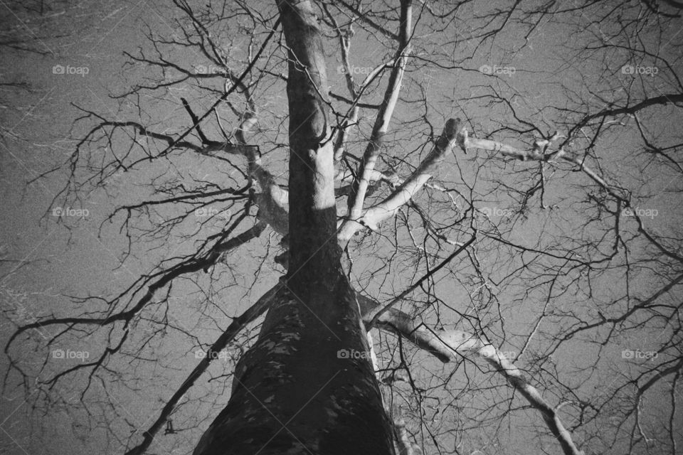 Looking at things differently