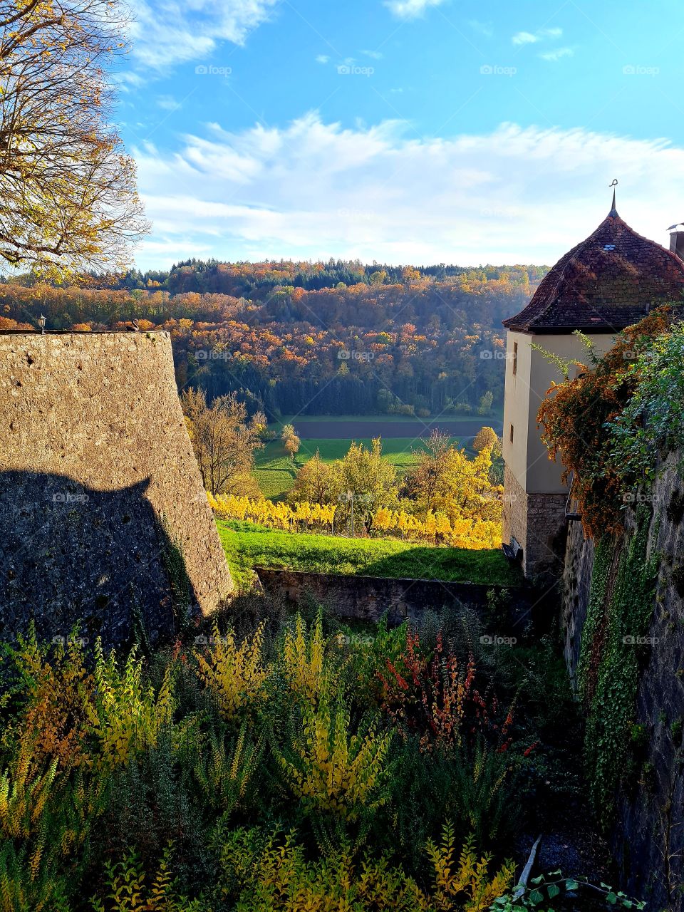 Schöne Blick  in die Natur