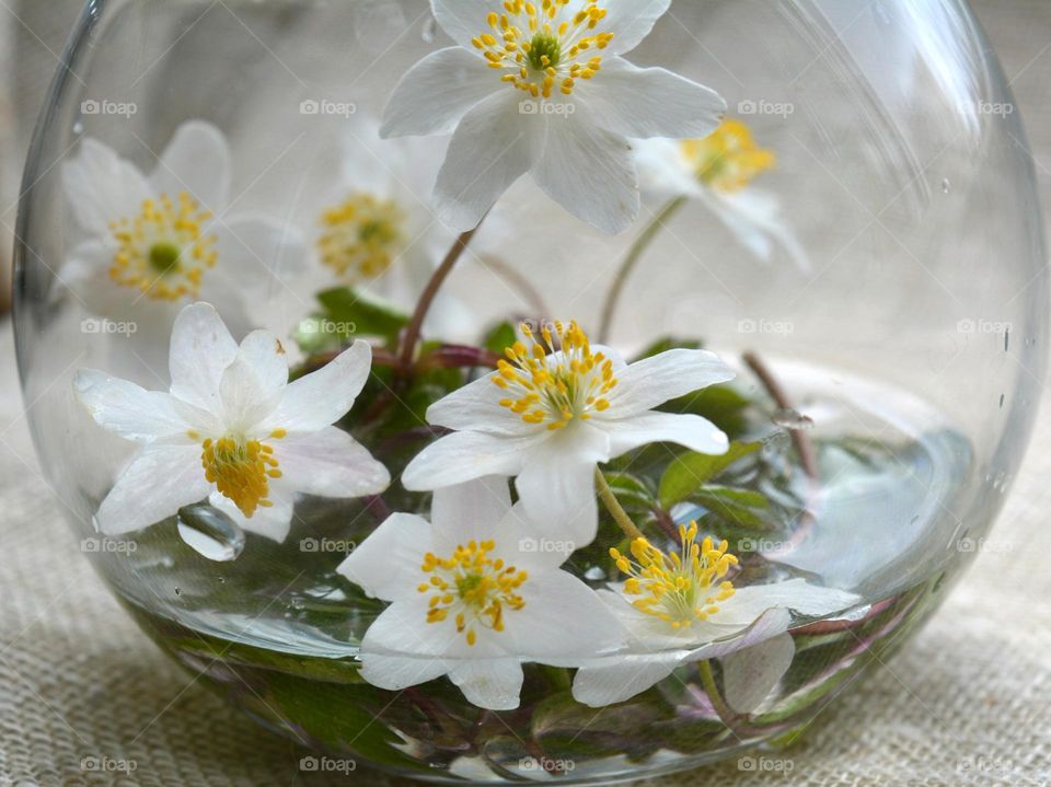 spring flowers in vase close up