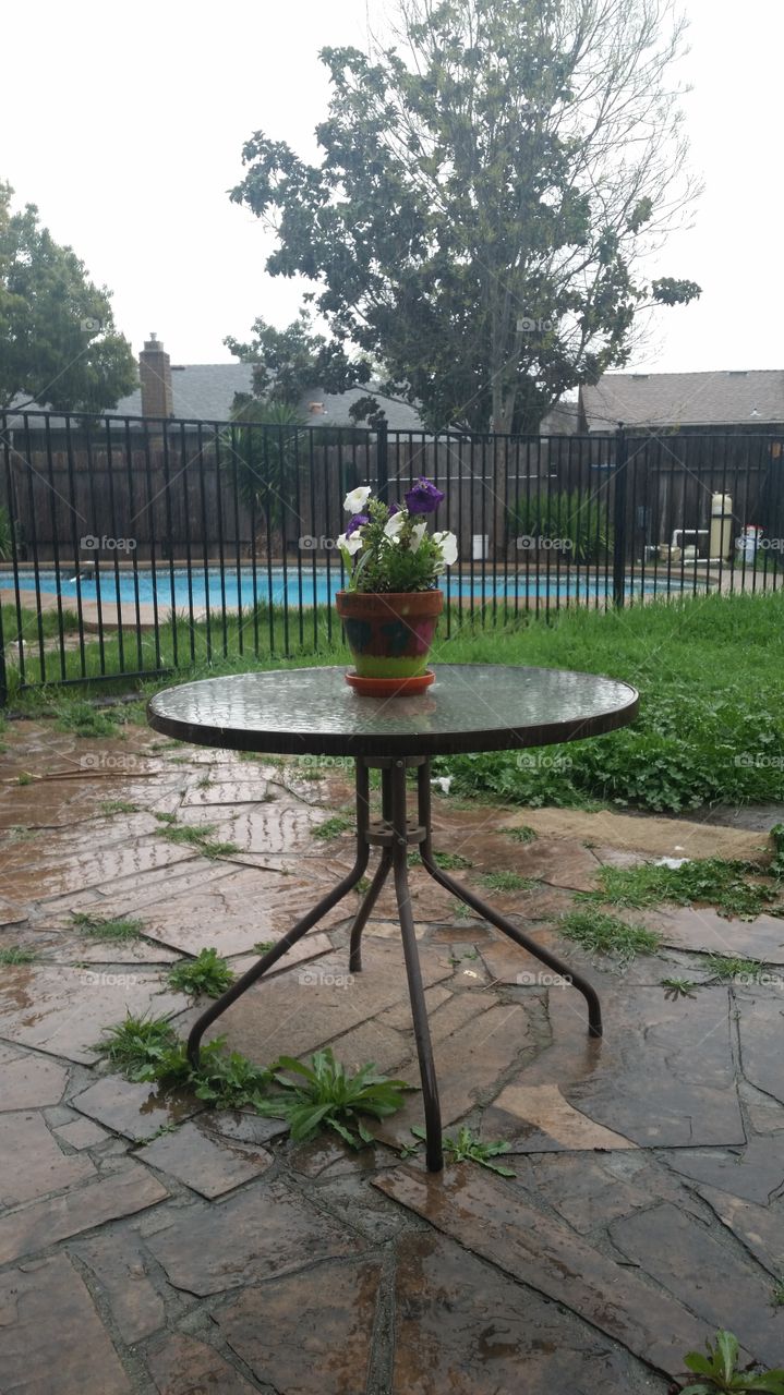 Pot on table on a rainy day