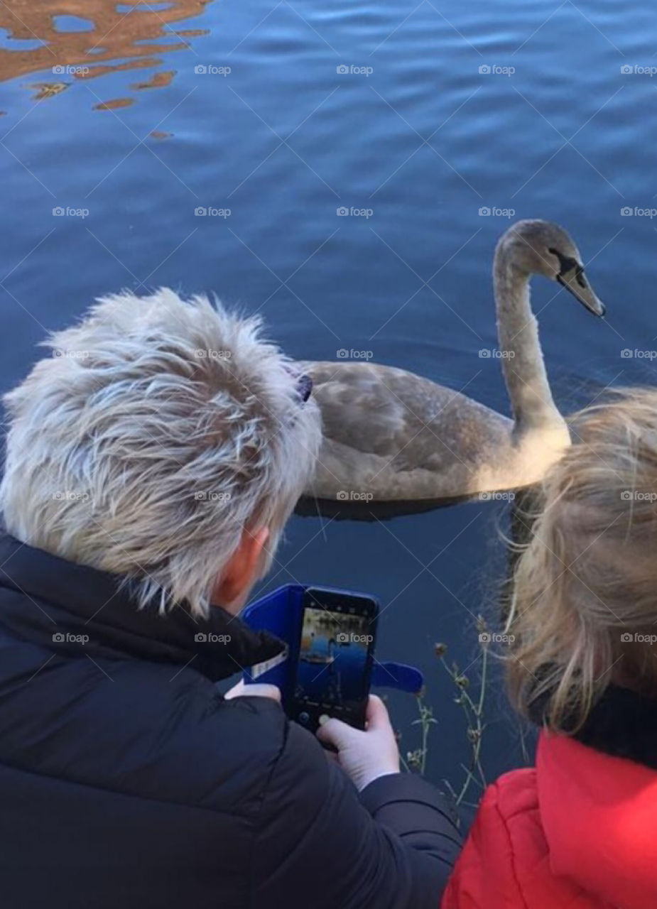 Capture of a capture…… mother and child being photographed from the back taking a photo of a young swan 