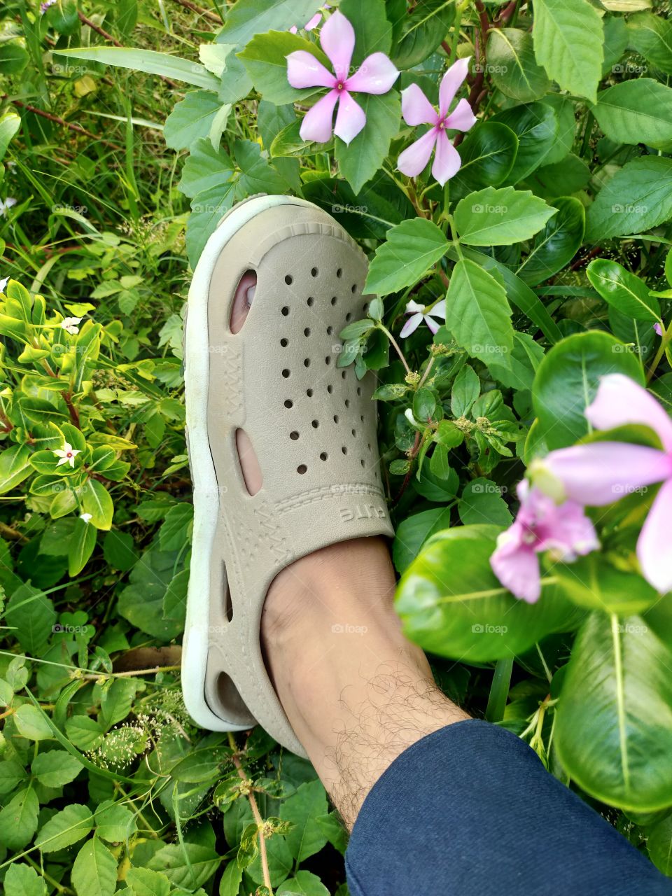 please morning walk.