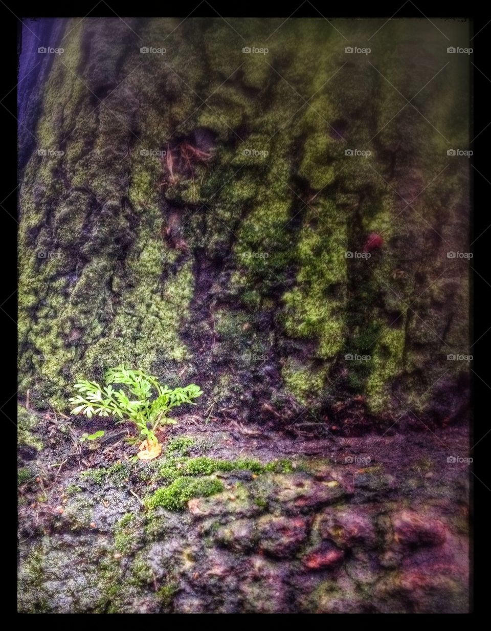 Small Things in Life