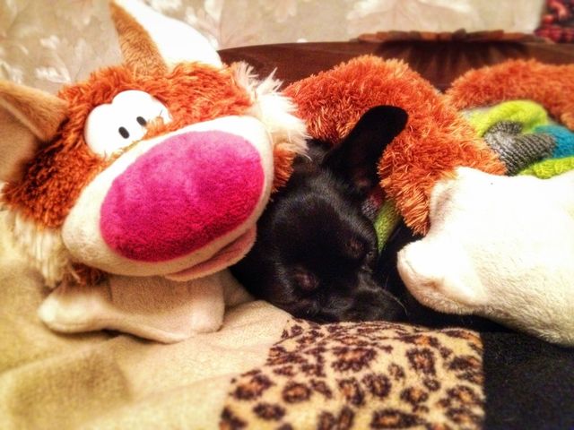 Sleeping