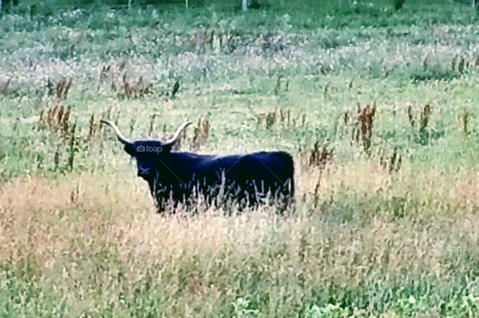 Driving the Back Roads and enjoying everything around us