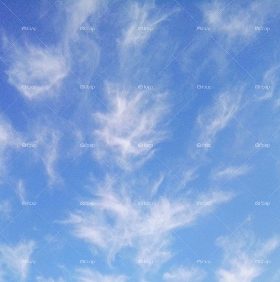 Feather like clouds