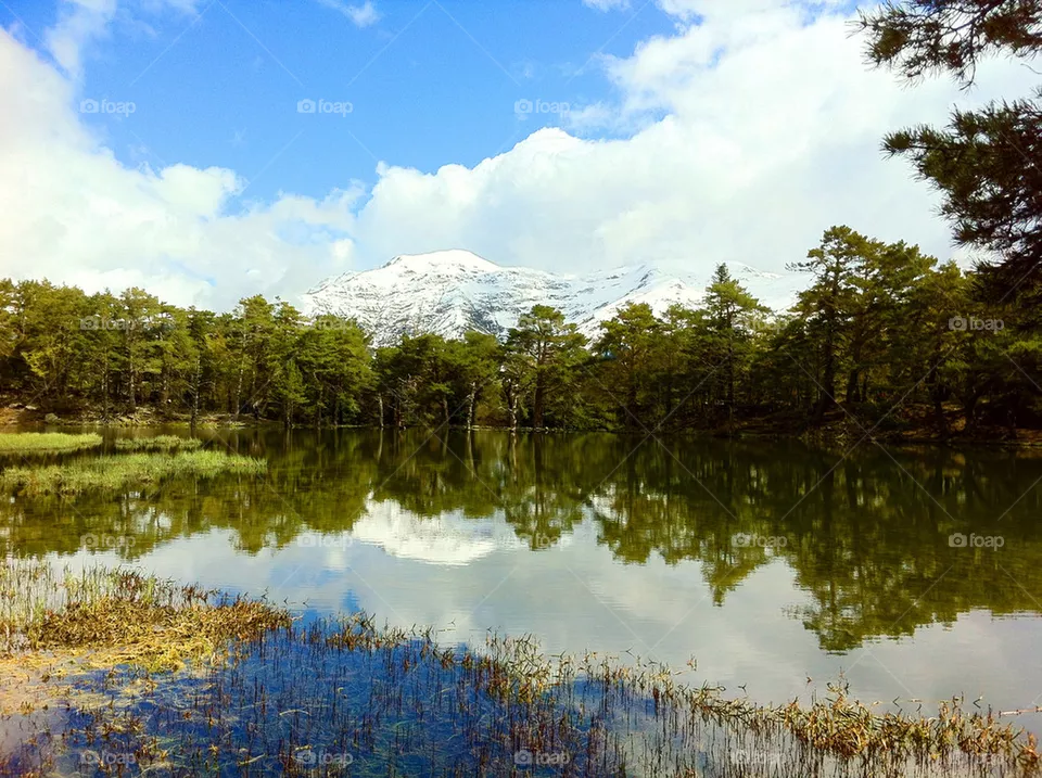LAKE