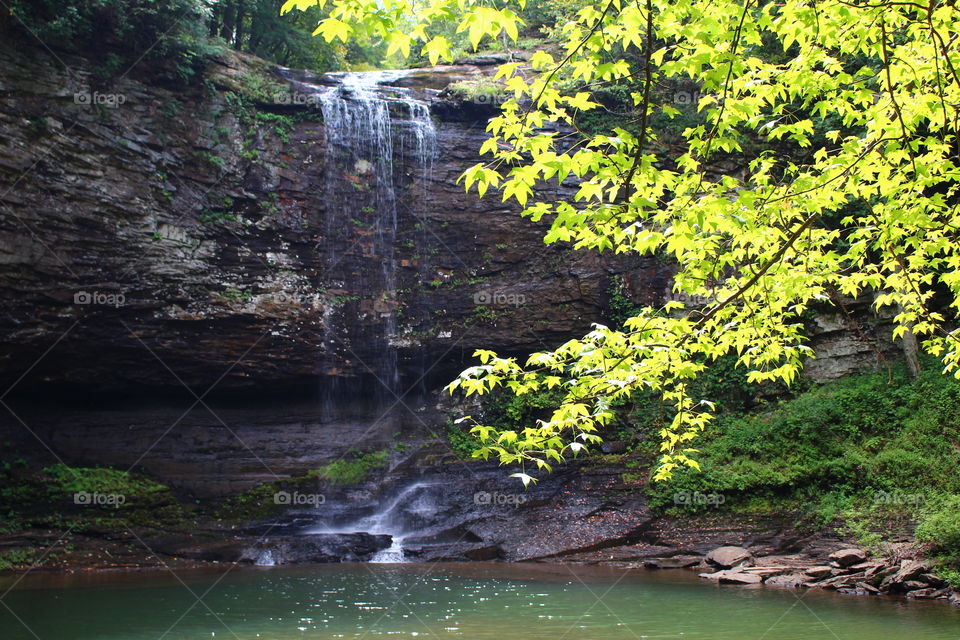 View of waterfall in lake