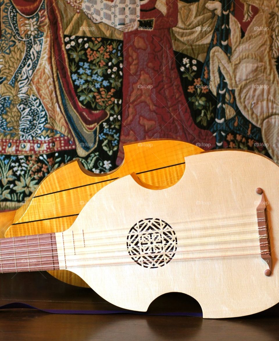 Viola da Mano Renaissance instrument