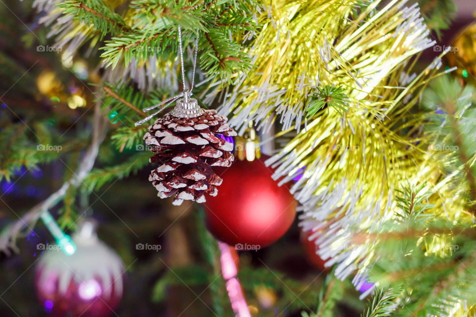 Decorating the Christmas tree