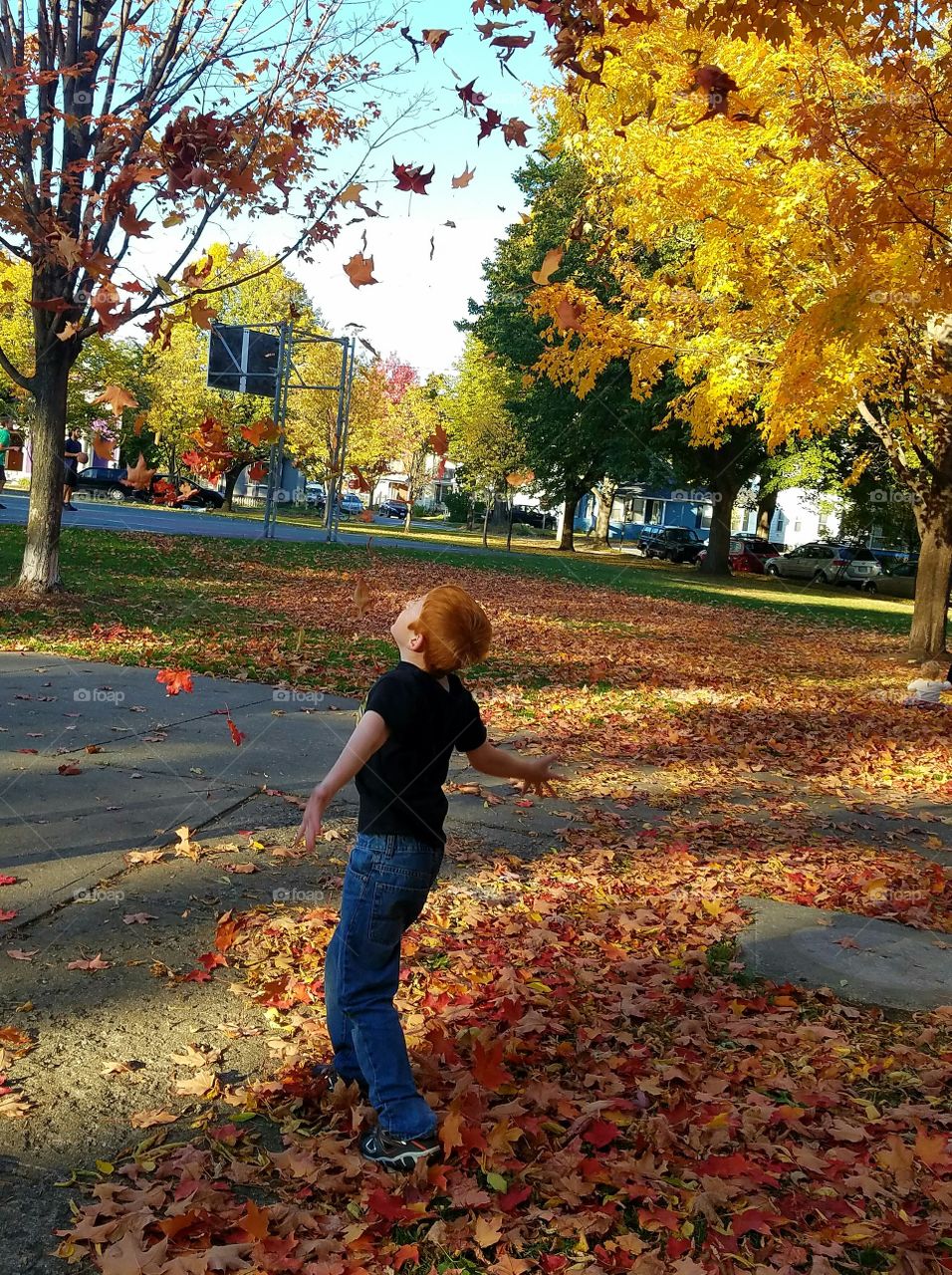 My son learning about gravity with leaves.