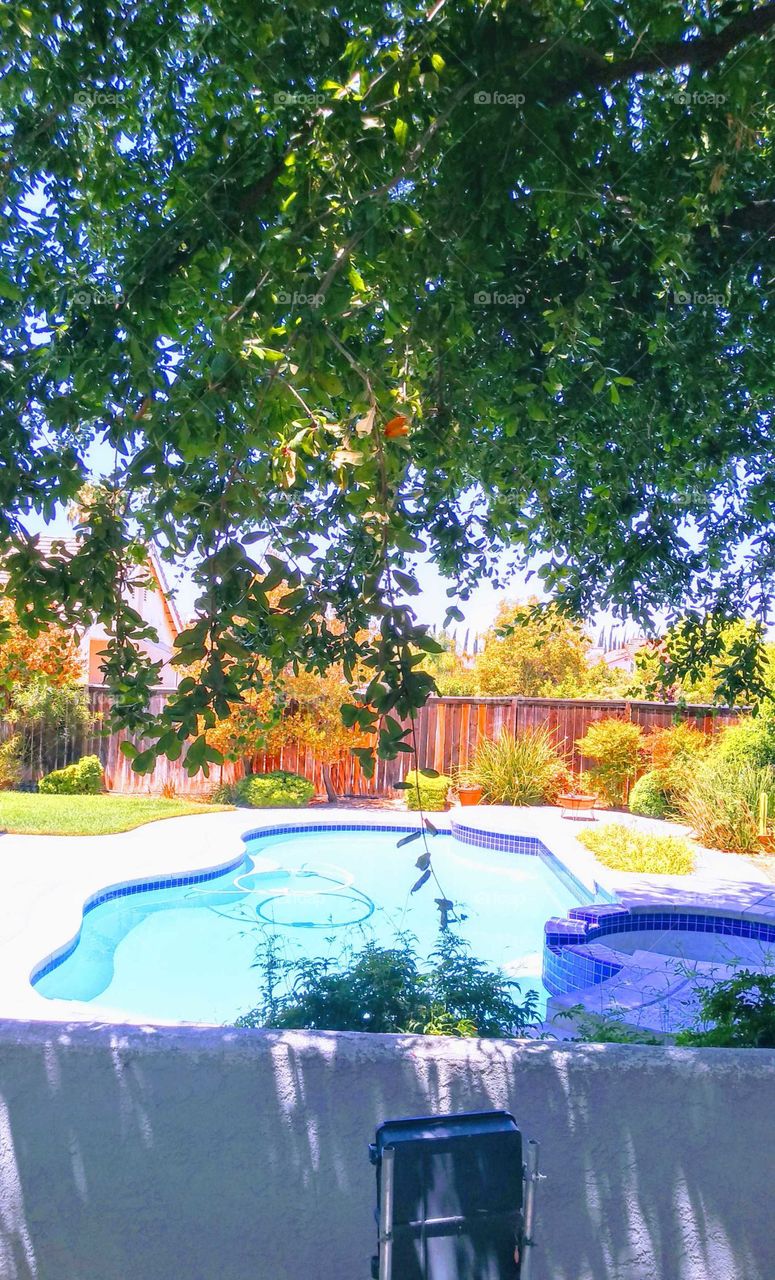 it looks so inviting ,I could not pass up picking this picture because it is a very very hot day and I really want to jump in it but it's my neighbor's pool 🥵🤗😎