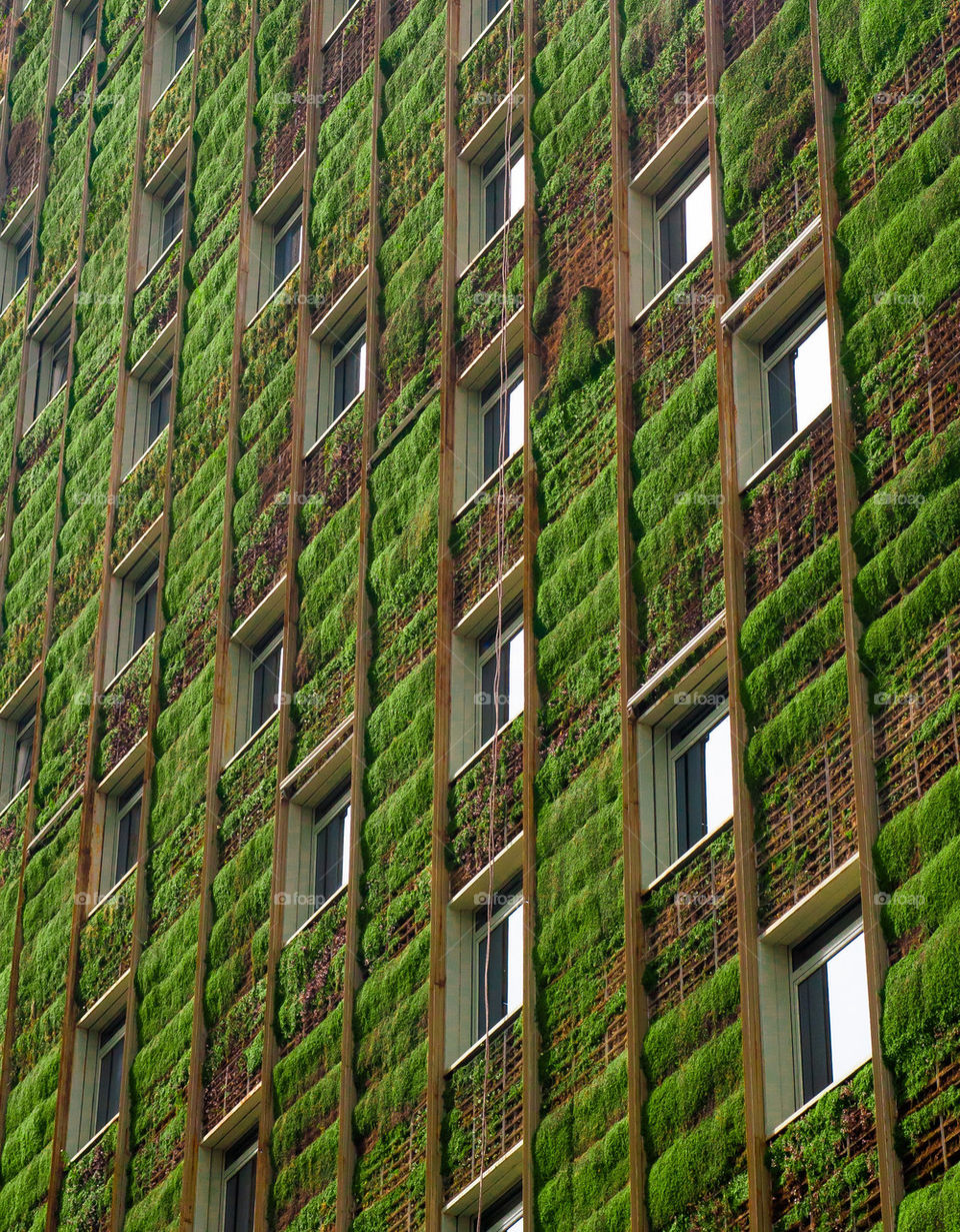 Green building