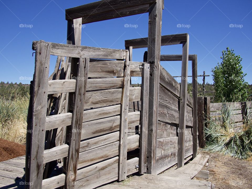 An old weathered wooden cattle shoot no longer in use on a ranch in rural Central Oregon on a sunny summer day. 