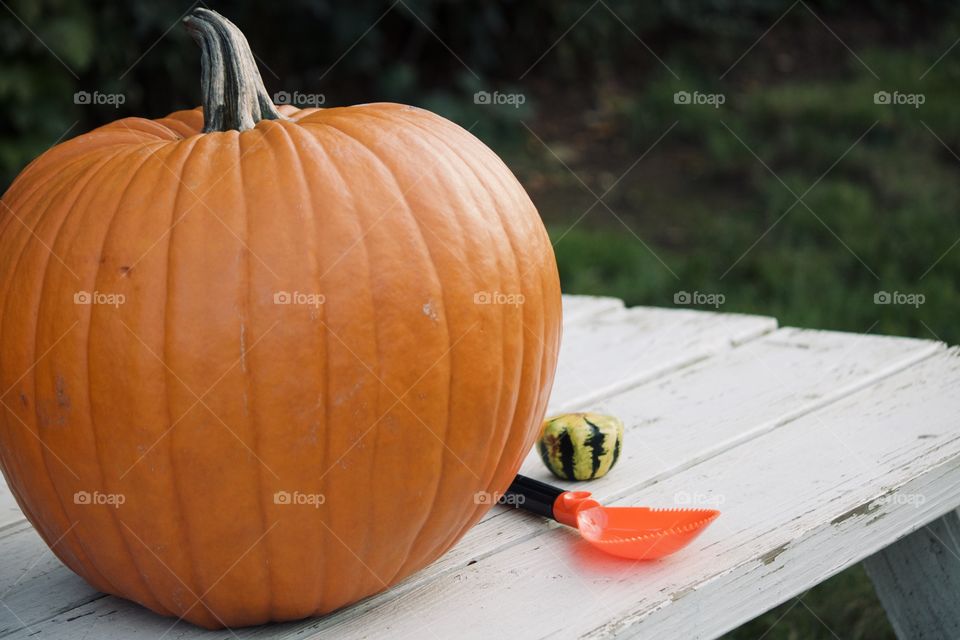 Pumpkin carving time 