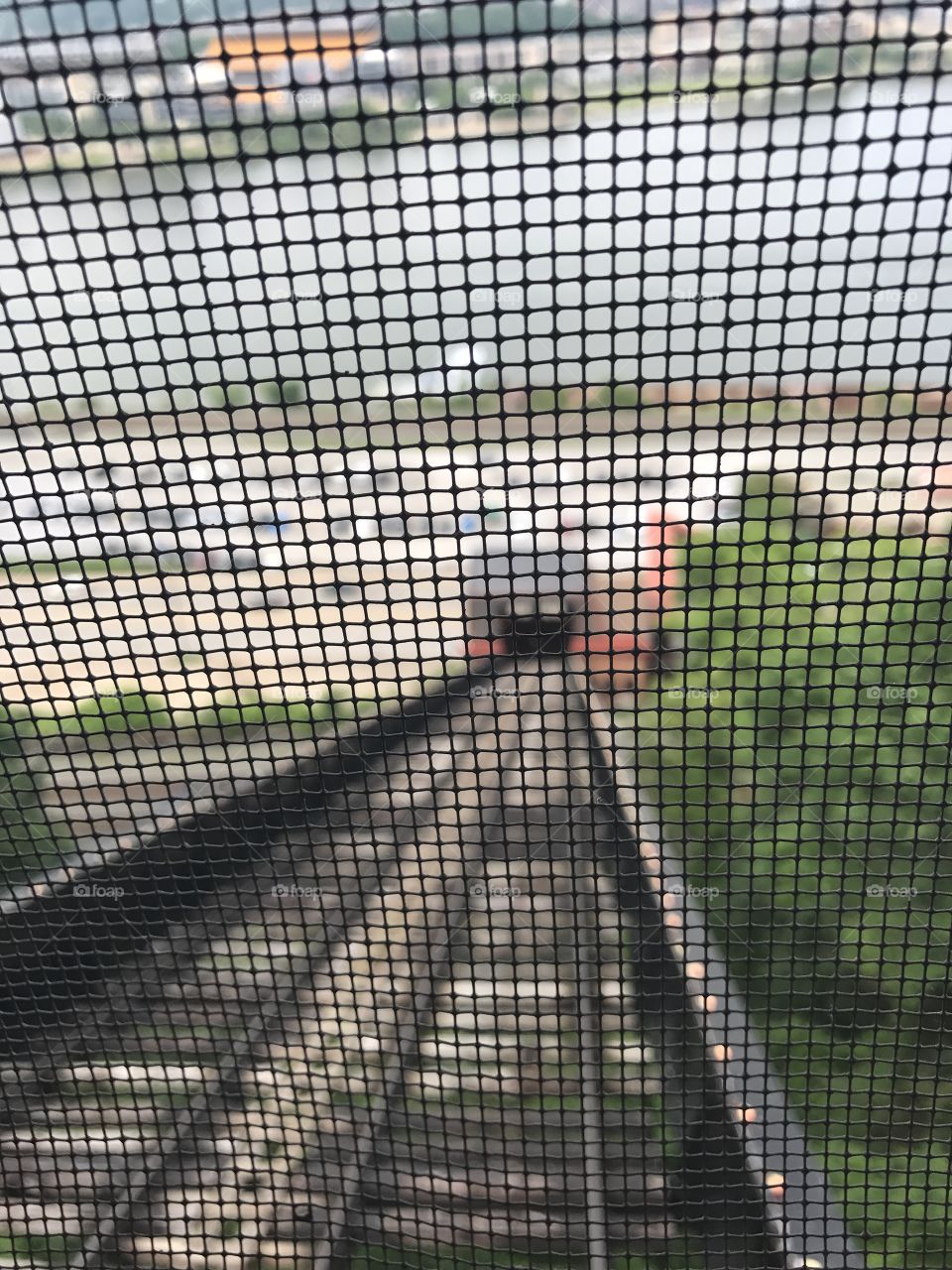 No Person, Desktop, Texture, Pattern, Color