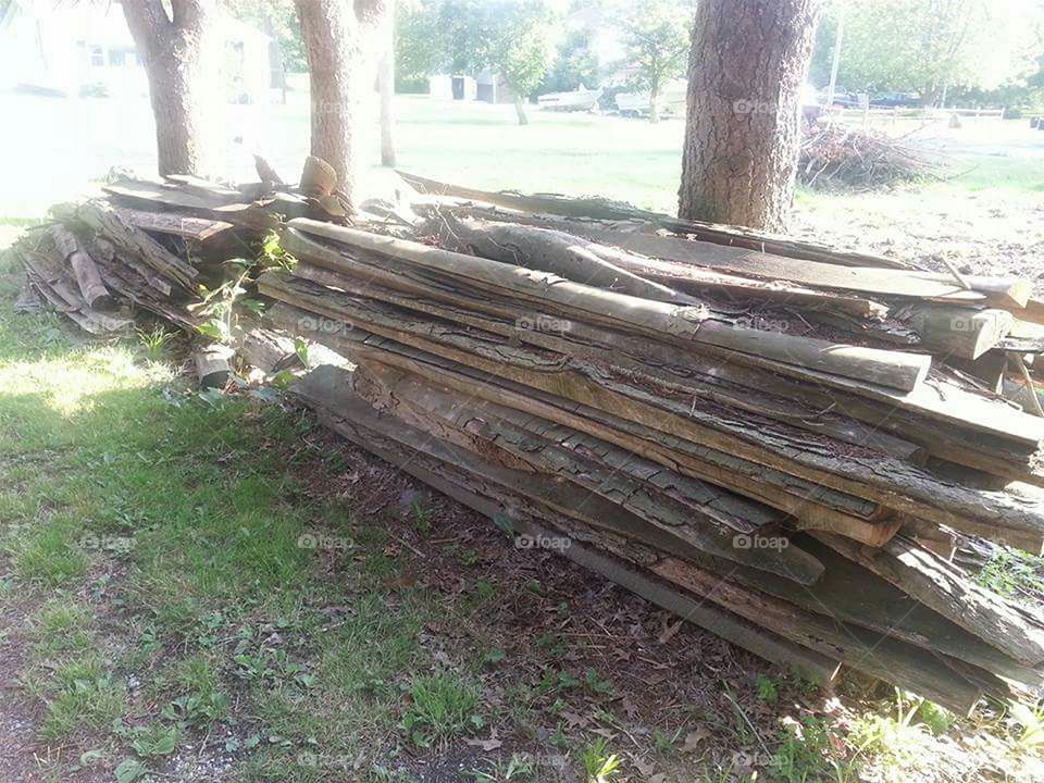 Wood logs