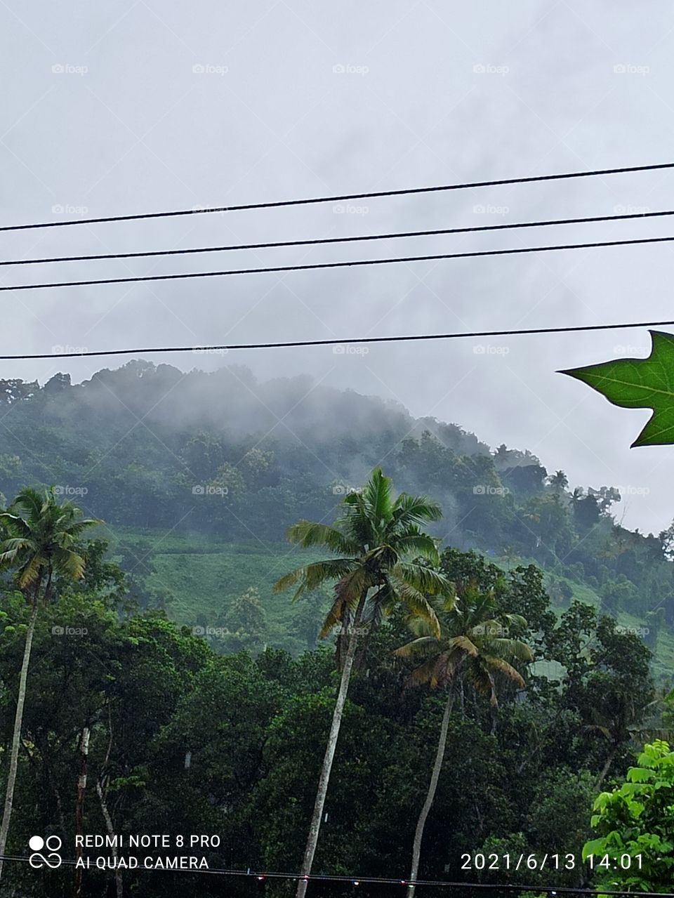 pothanmala ( a small hill station of mundakayam )