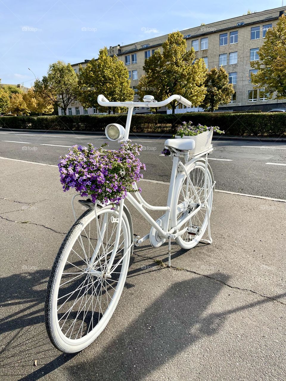 White bicycle with purple flowers on the street 