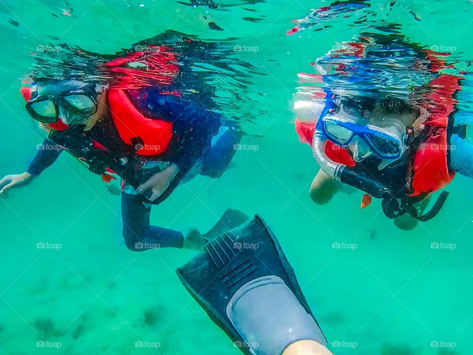 close-up view of two people snokelling in the sea