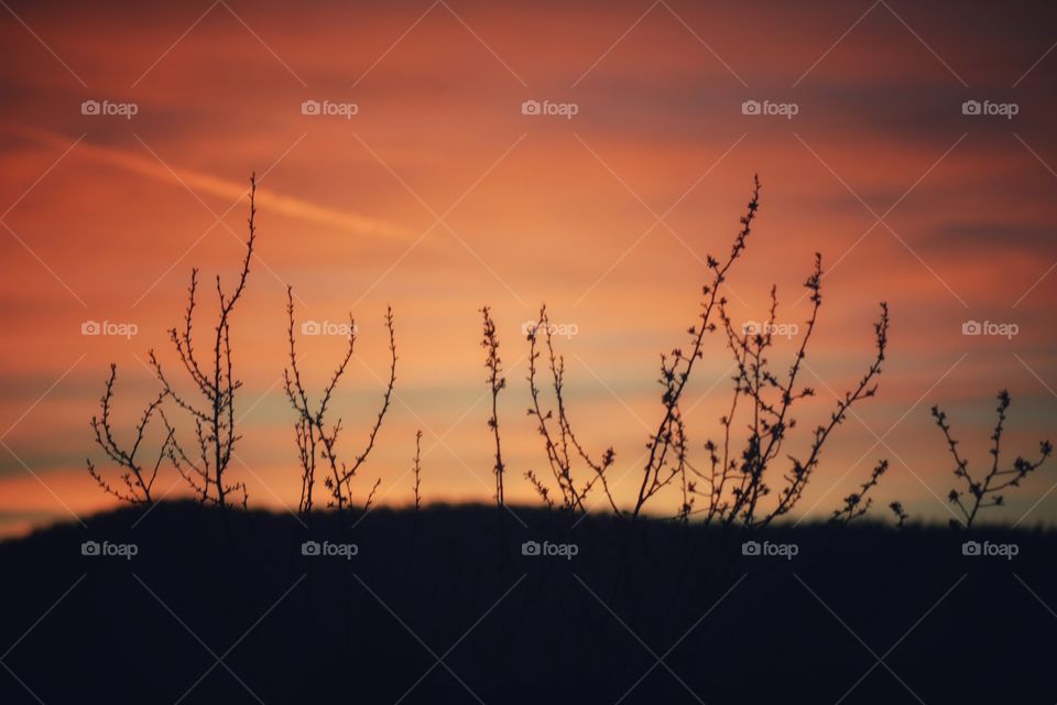 atardecer mediterráneo