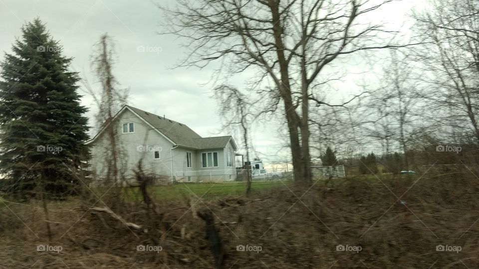 No Person, Tree, House, Wood, Home