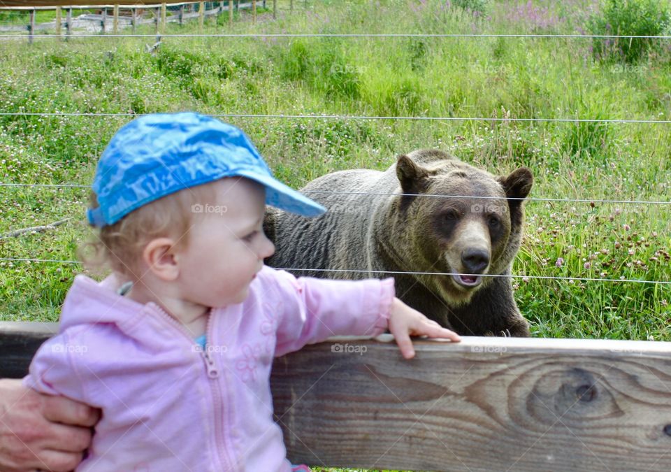 Baby sits near rescued orphaned grizzly bear