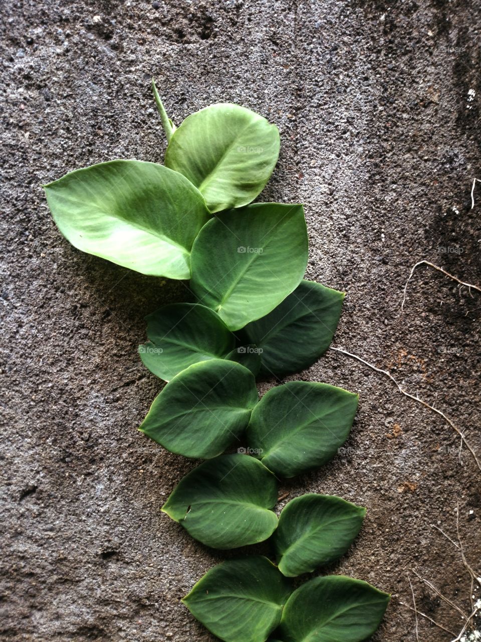 foto minimalis yang sangat indah