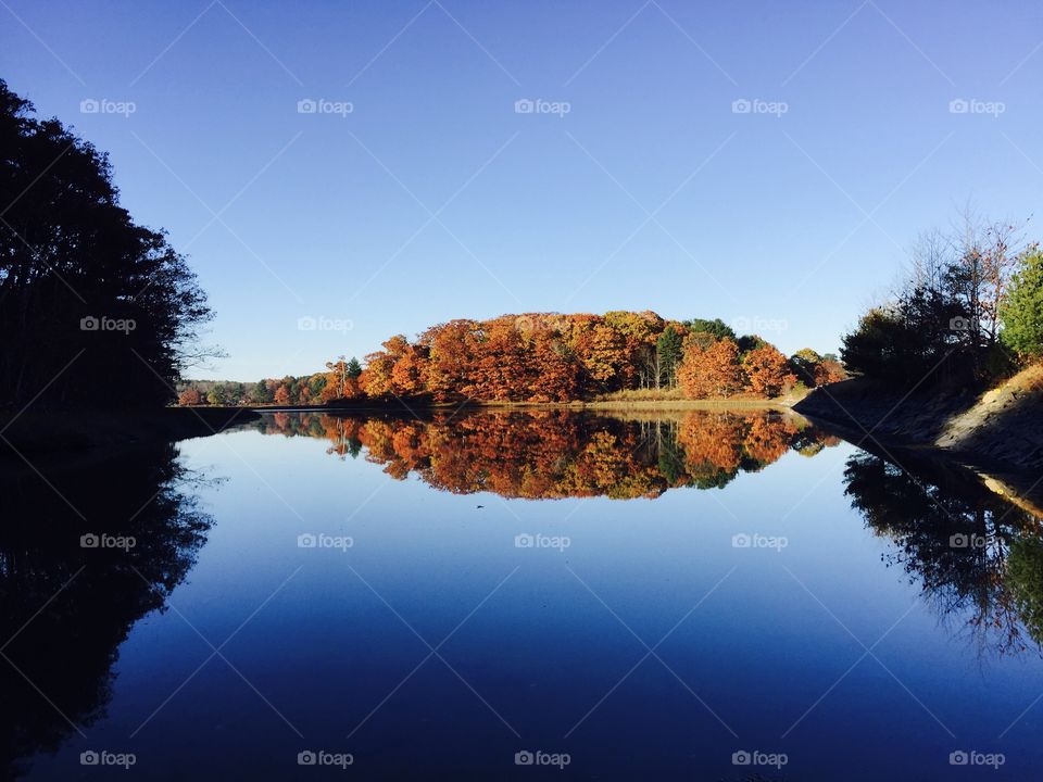 Autumn trees reflection on lake