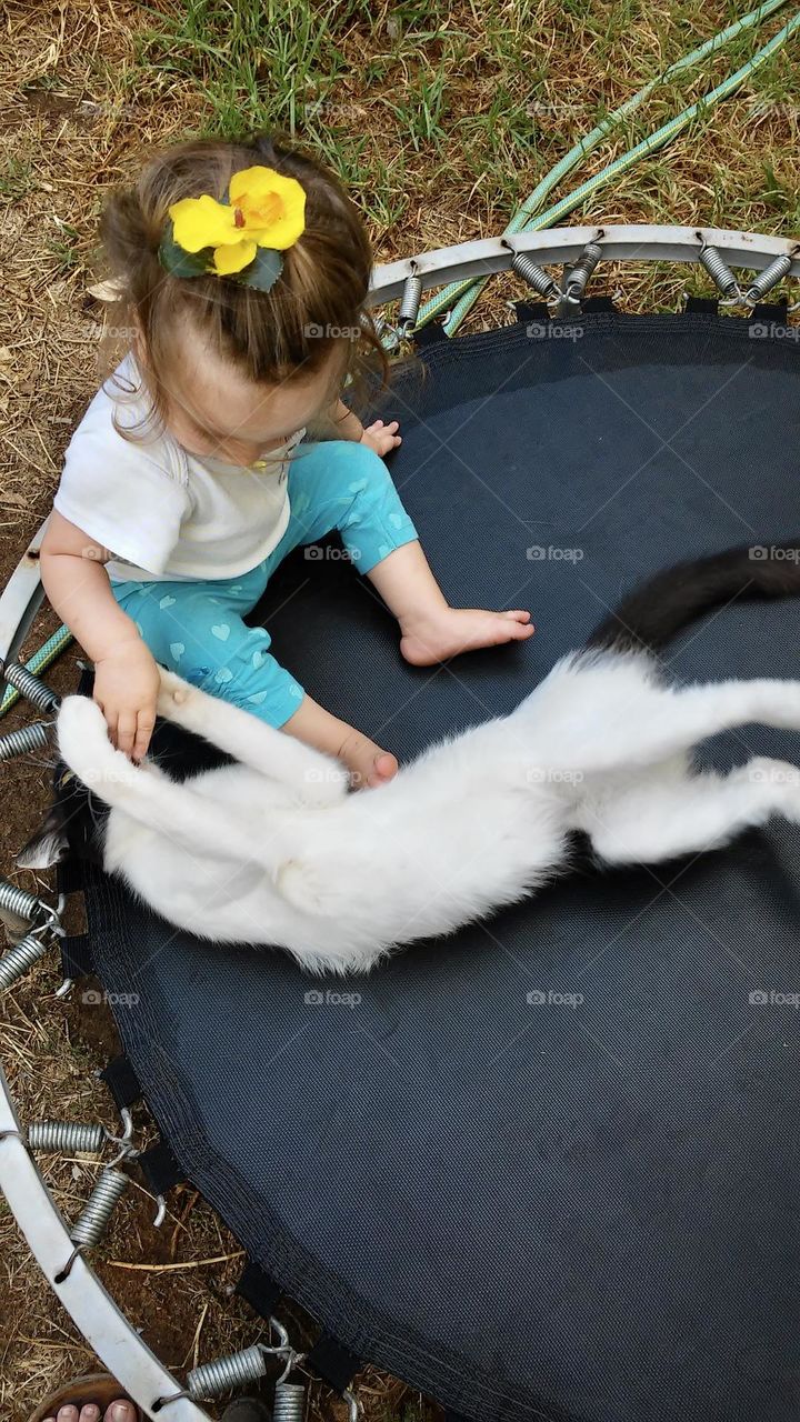 Little girl and her cat playing together on trampoline 