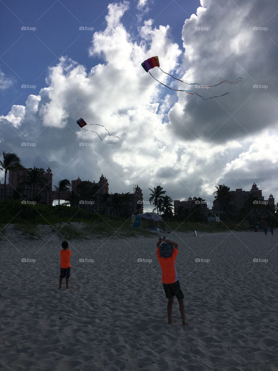 Children flying kites on beach