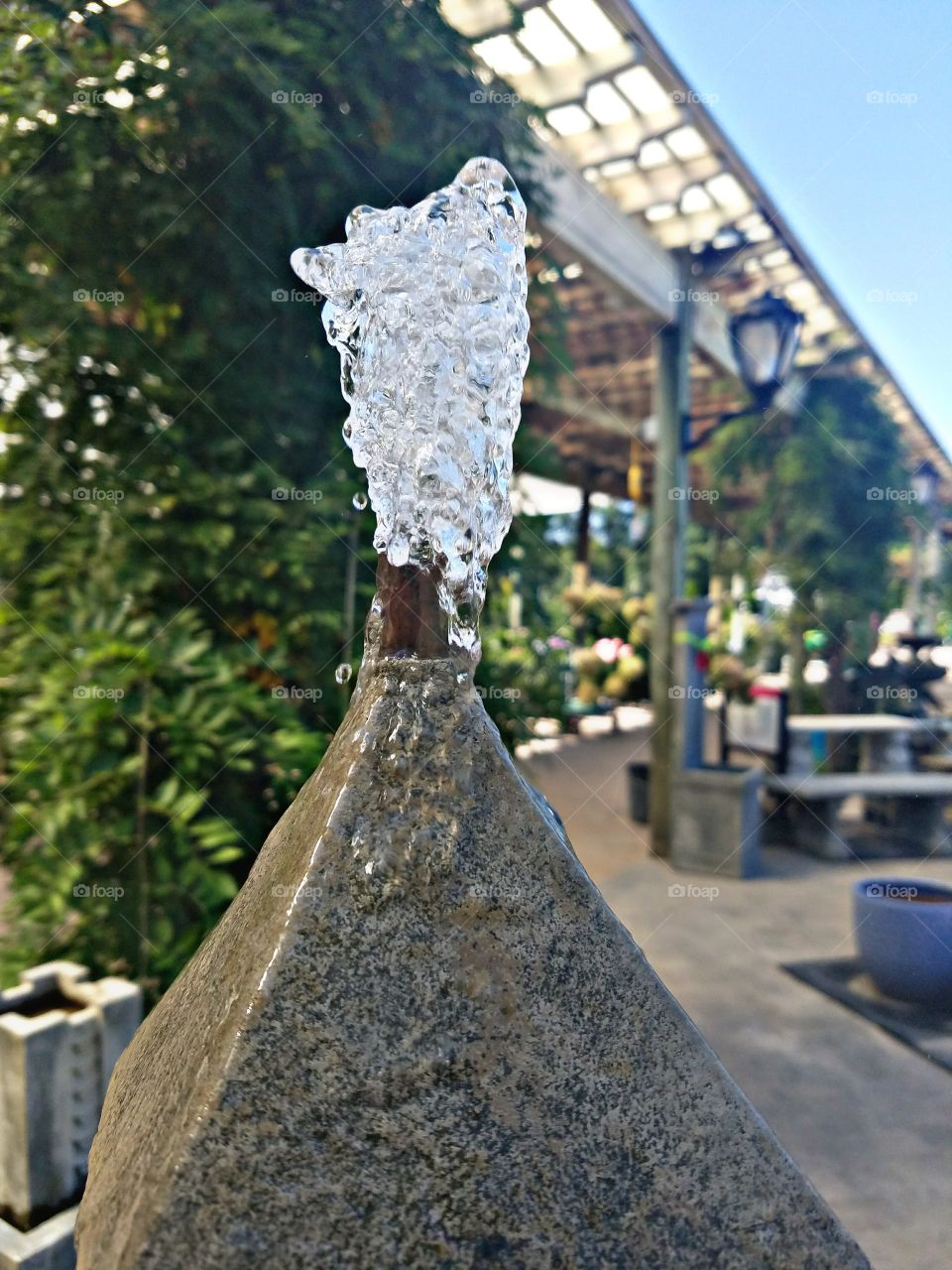 Water Fountain at Hicks Nurseries on Long Island, NY: September 2017