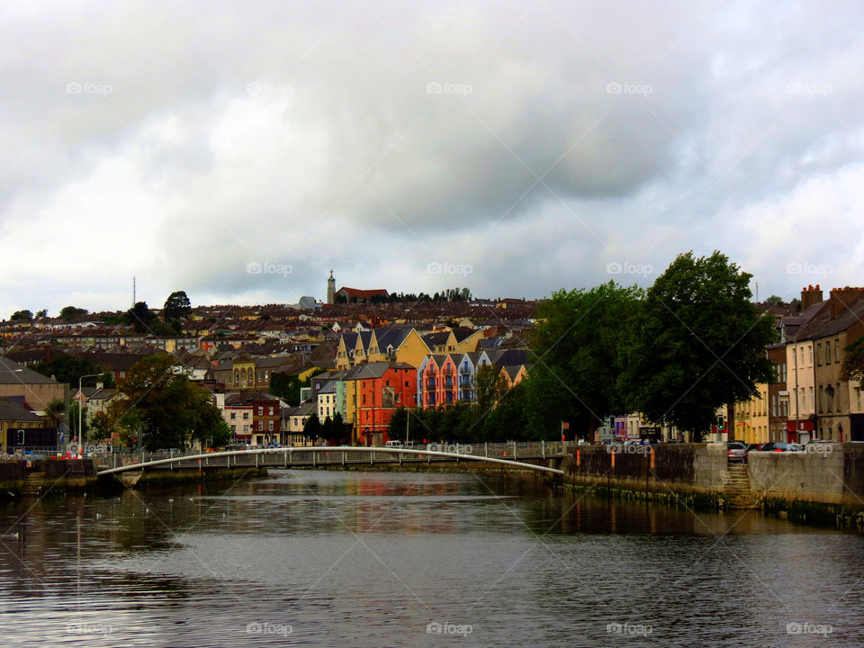 ireland trees colourful embankment by llotter