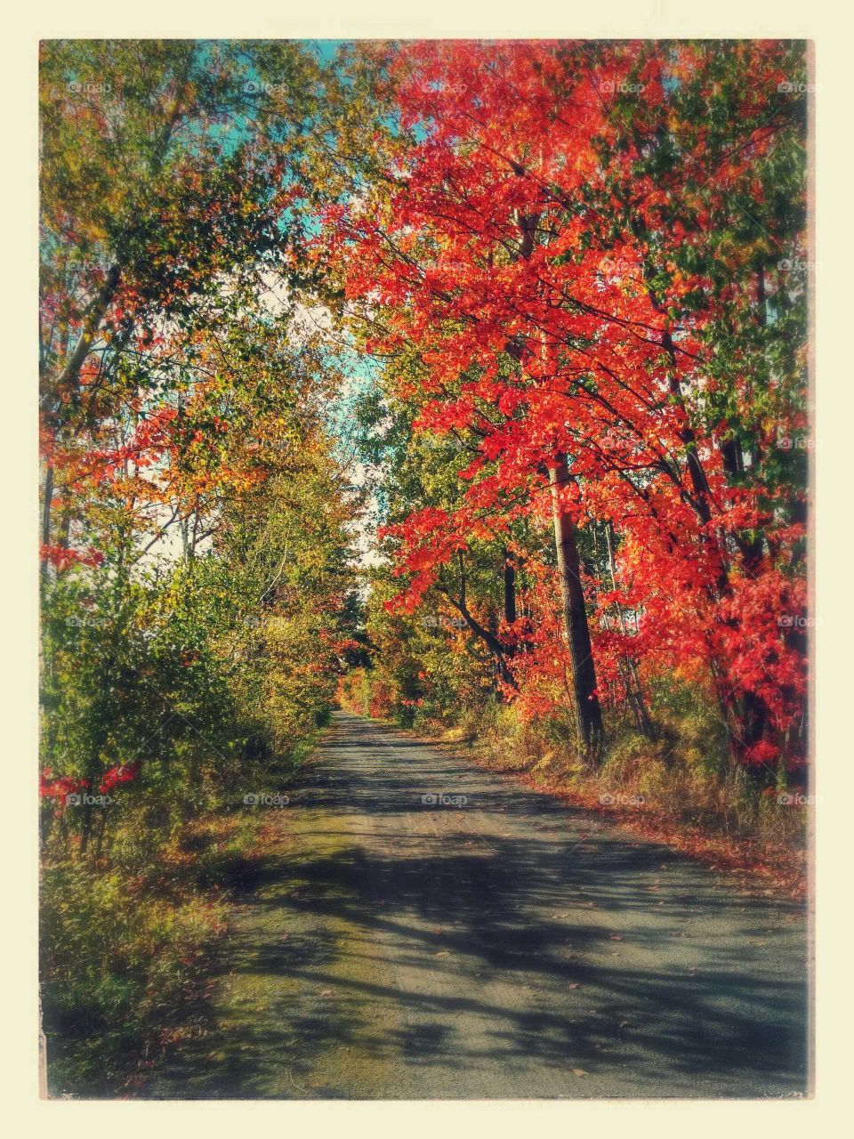 red tree