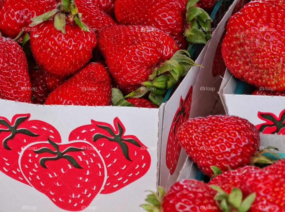 Fresh Ripe Strawberries. Plump Juicy Fresh Strawberries At A Summer Farmer's Market
