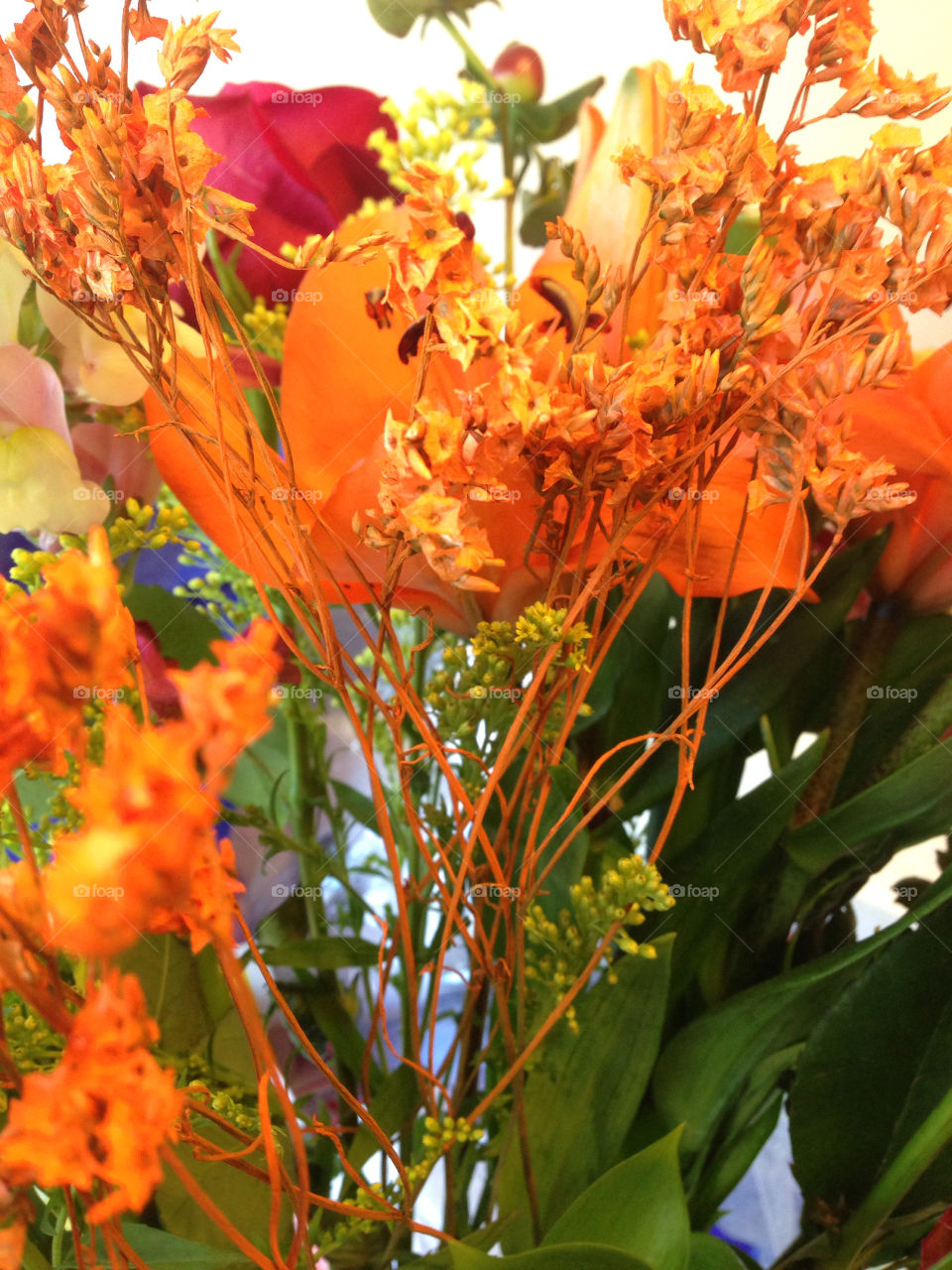 flowers color orange floral by jazzcrazy