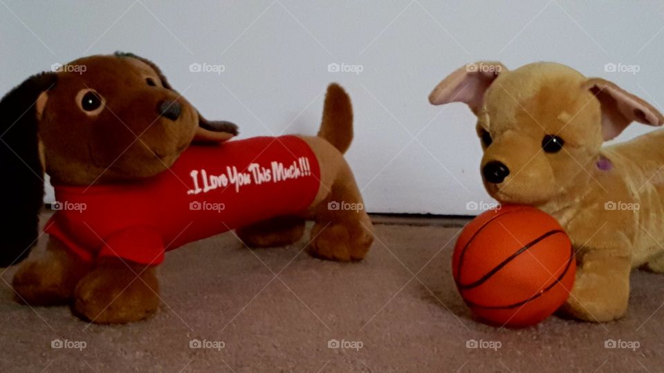 My stuffed Dachshunds