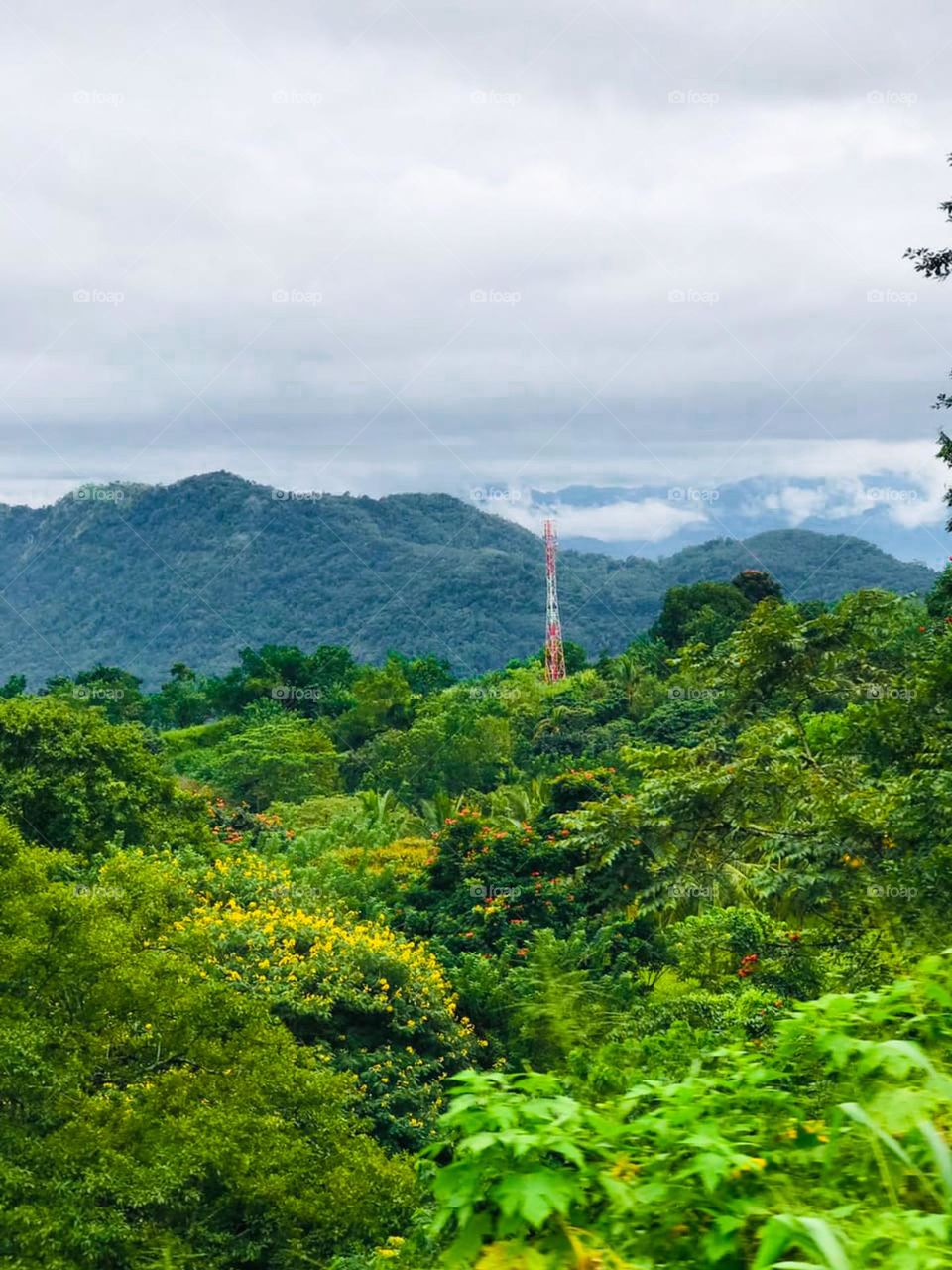 Go where you feel most alive.