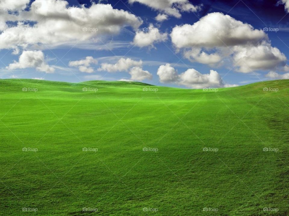 Green hills