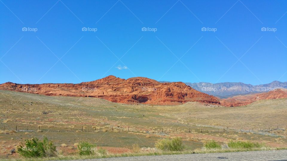 utah red