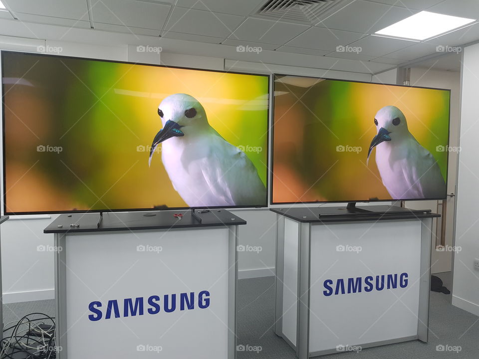Samsung QLED 8K and 4K television comparison
